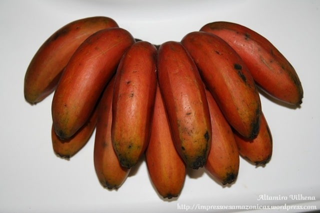 banana-vermelha