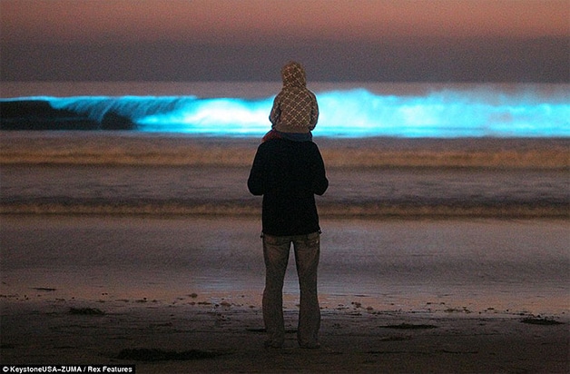 Mar bioluminescente