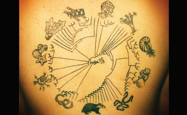 Tatuagem para biólogo