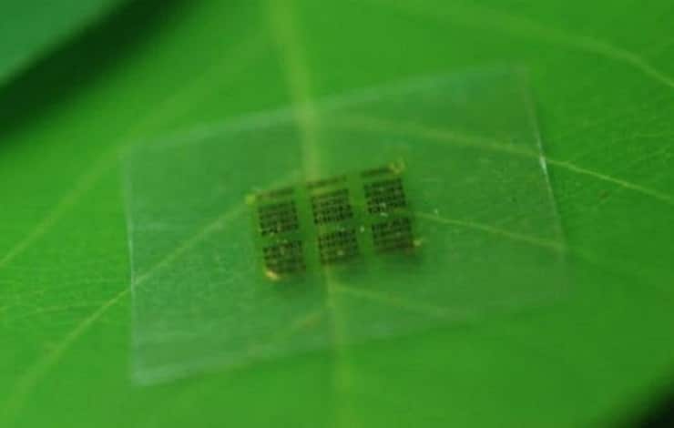 Chip produzido através de partículas de celulose